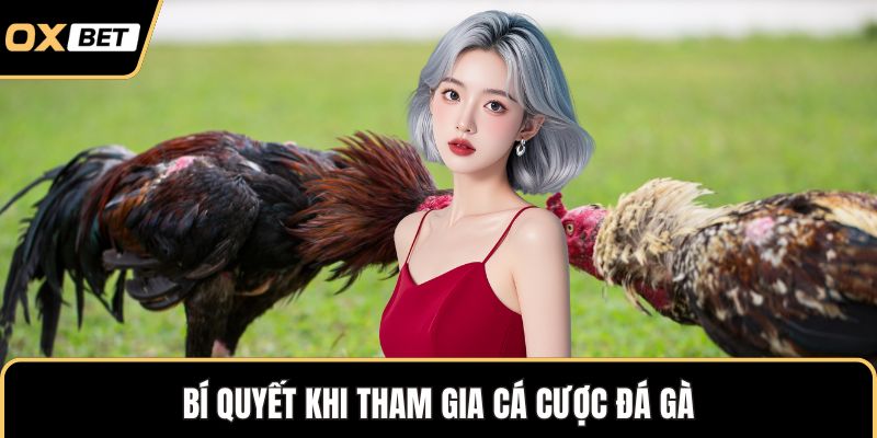 Bí quyết  khi tham gia cá cược đá gà