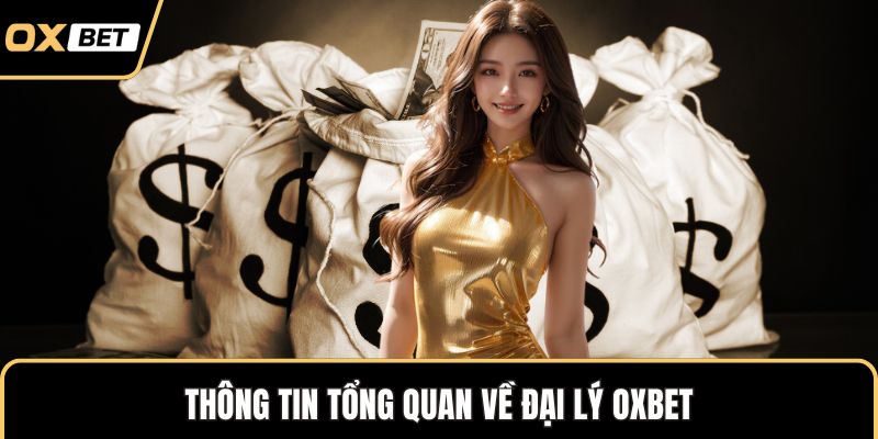 Thông tin tổng quan về đại lý OXBET