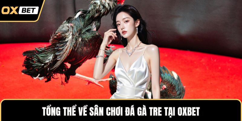 Tổng thể về sân chơi đá gà tre tại OXBET